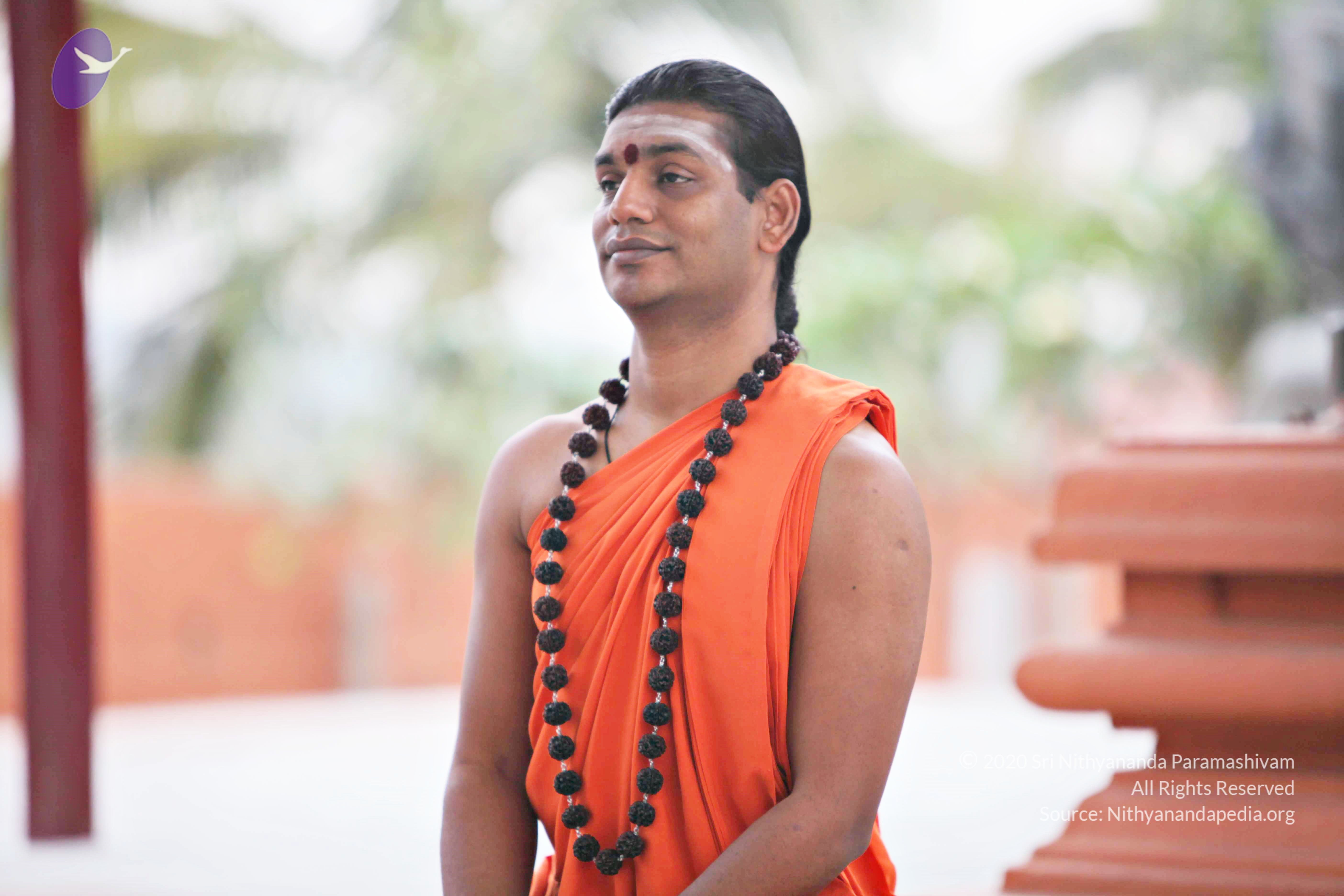 20110225_Photo_1078_IMG_0845_CMP_WM